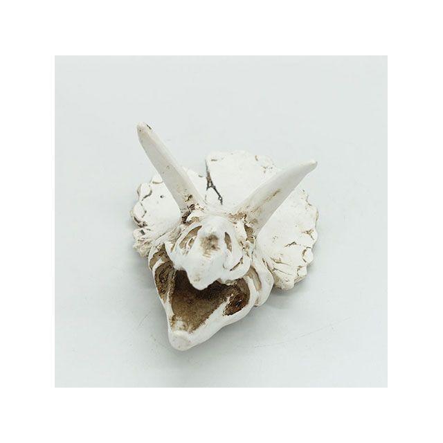 ALFA TEC アクアリウム用品 XL-PC008 骨格/化石（小）恐竜 水槽 ケージ