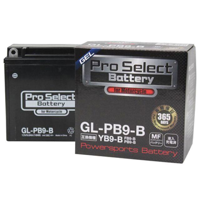 メーカー直送】Pro Select Battery 汎用 バッテリー関連パーツ プロ 