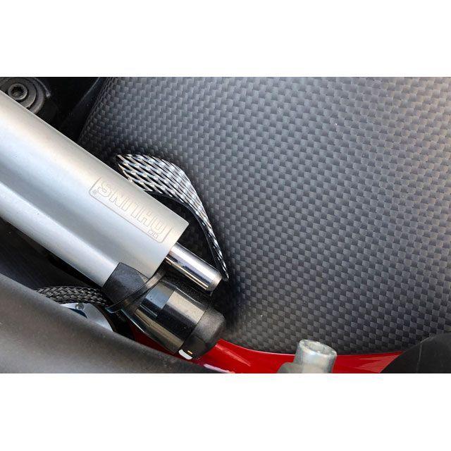AELLA ストリートファイターV4/V4S ドレスアップ・カバー DUCATI