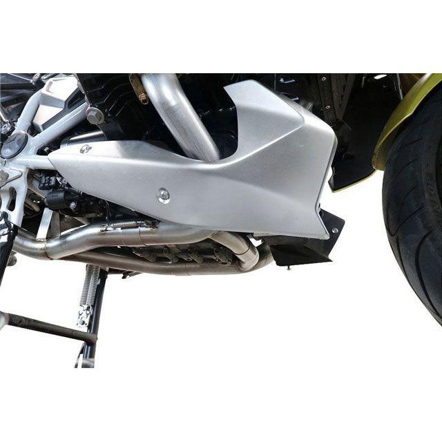 G.P.R. EXHAUST SYSTEM G.P.R. R 1250 R-RS マフラー本体 Original For
