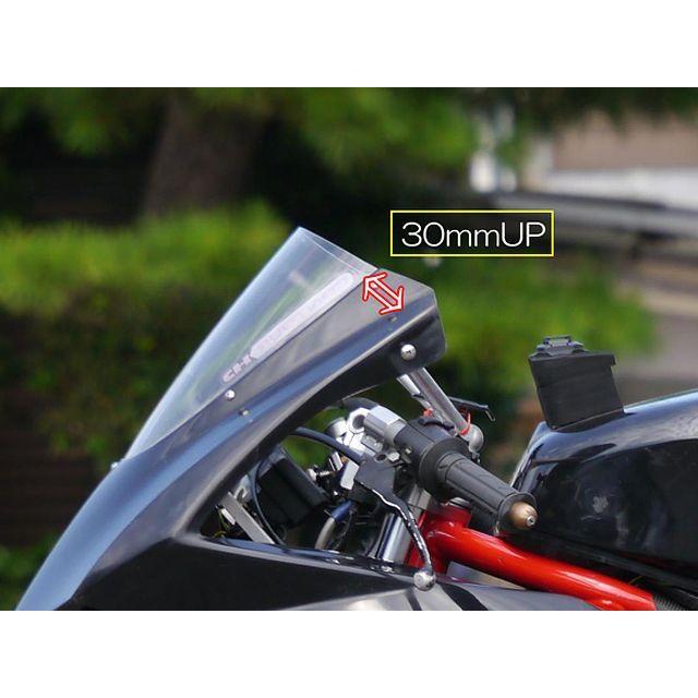 Saitaniya Factory NSF100 カウル・エアロ NSF100「ミニガーレ