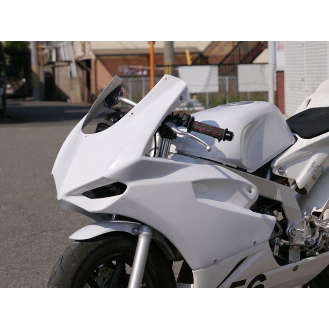 Saitaniya Factory NSF100 カウル・エアロ NSF100「ミニガーレ