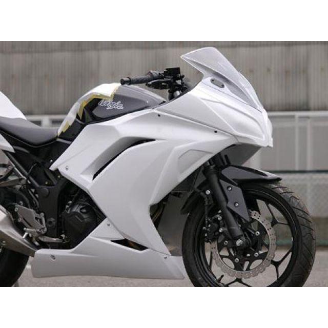 Saitaniya Factory Ninja250 カウル・エアロ フルカウル レース