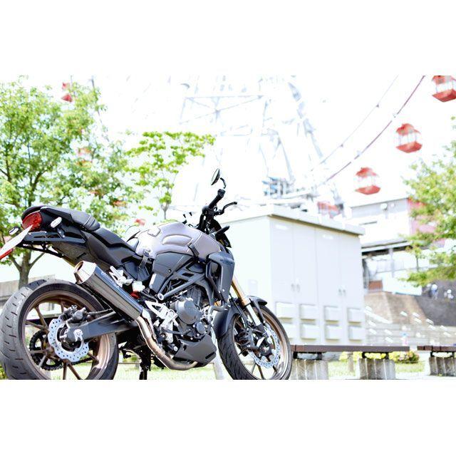 BAGSTER（バグスター） BAGSTER CB300/250R タンク関連パーツ タンク
