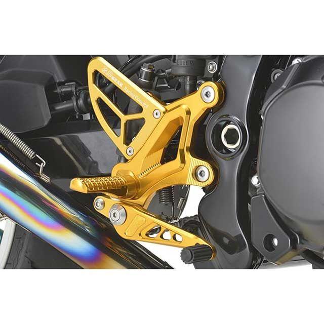 r's gear（アールズギア） R's GEAR Z900RS Z900RS CAFE バック