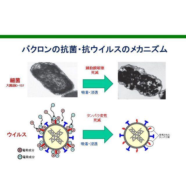 正規品／Bacron 日用品 スプレータイプ 300ml（300ml×2本/1箱） バクロン 日用品｜st-ride｜05