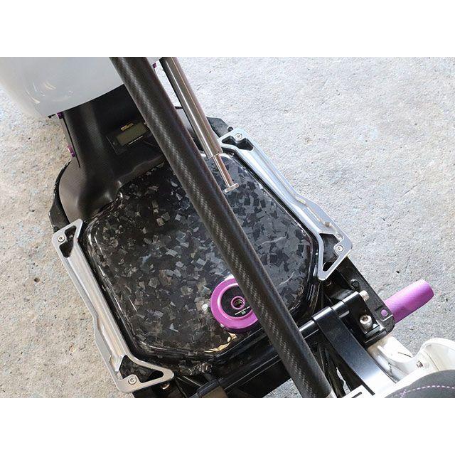 ZOOMER/ruckus ズーマー　タンクサイドプレート ズーマー用 タンクサイドプレート アルミ製 ズーマー用 タンク