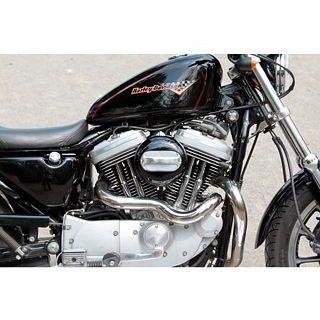 FORK Sportster（純正インジェクション装着車） エアクリーナー マルチフェイス エアクリーナー バーインサート for スポーツスター（…_1