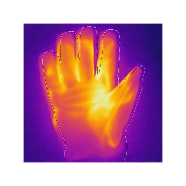 KOMINE 電熱ウェア・防寒用品 EK-216 12VプロテクトE-グローブ サイズ L コミネ_9