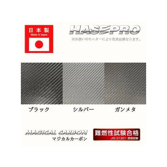 HASEPRO 外装 トヨタ ヤリス/ハイブリット PH・PA10系/KSP210系（2020.2〜） アイライン シルバー ハセプロ