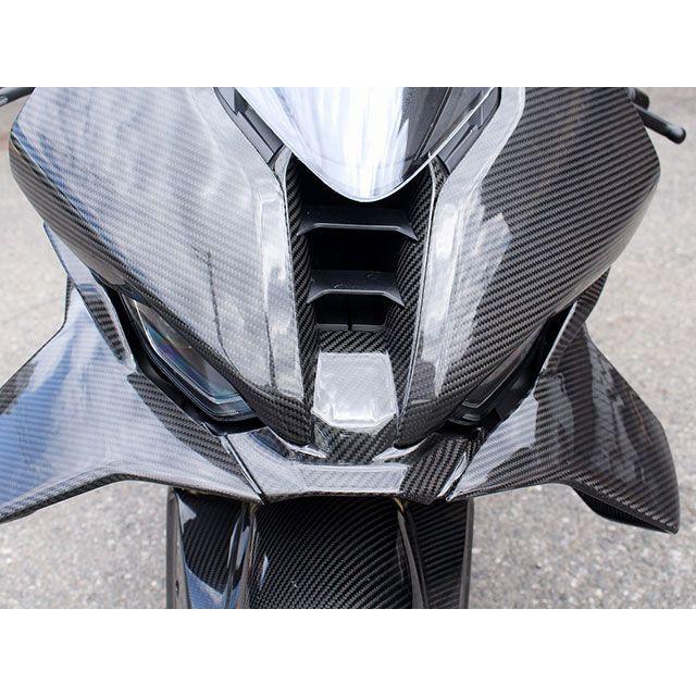 BMW S1000RR 10～ フロントフェンダー SPL-- BMW S1000R（14年