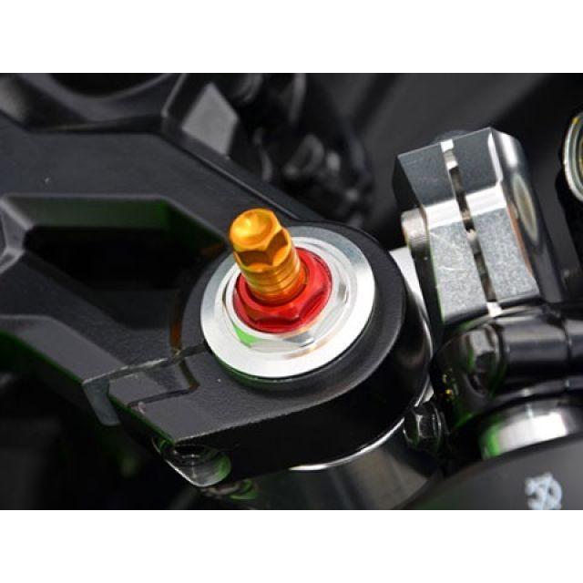 AGRAS Ninja250SL イニシャルアジャスター フロントフォークイニシャル