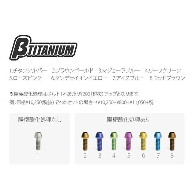 βTITANIUM ZX-6R その他ブレーキ用パーツ フロントキャリパーマウントボルトキット 仕様 ブラウンゴールド（陽極酸化あり） 頭部形状 テ…_2