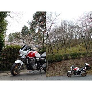 ワールドウォーク（WORLD WARK） WW CB1300SF/1000SF/400SF VTR250