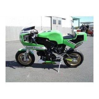 PLEASURE KSR110 Ninja250R タンク関連パーツ KR110 ENDURANCE タンク