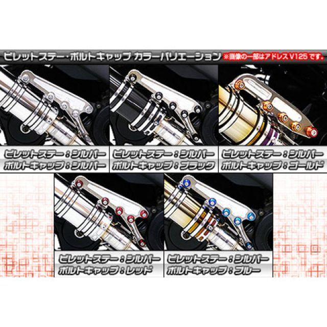 WirusWin（ウイルズウィン） ズーマーX マフラー本体 ズーマーX用