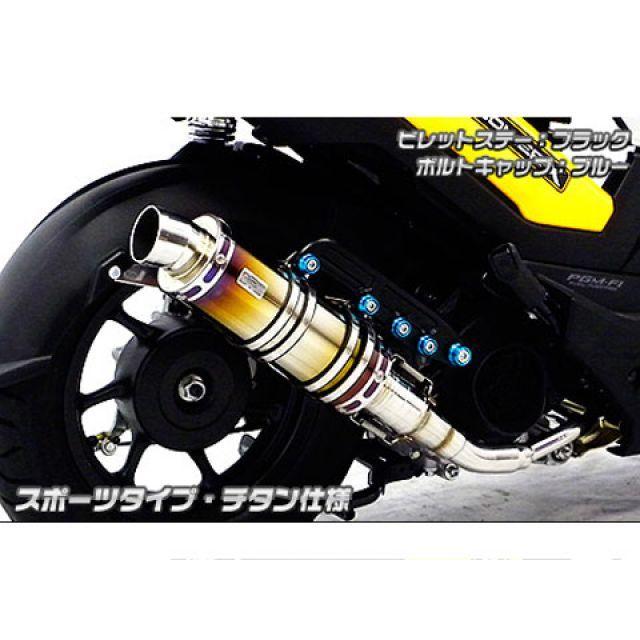 WirusWin ズーマーX マフラー本体 ズーマーX用 アニバーサリーマフラー ポッパータイプ チタン仕様 ビレットステー シルバー ボルトキャッ…