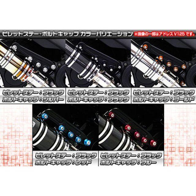 WirusWin（ウイルズウィン） ズーマーX マフラー本体 ズーマーX用
