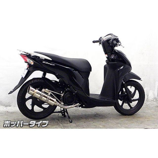 WirusWin（ウイルズウィン） ディオ110 マフラー本体 ディオ110（JF58