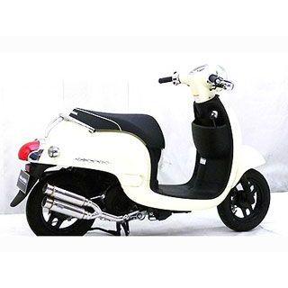 WirusWin（ウイルズウィン） ジョルノ マフラー本体 ジョルノ（AF70