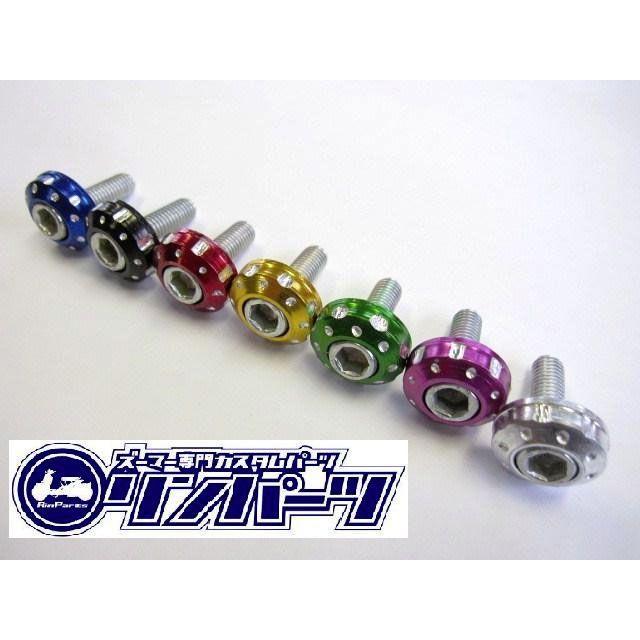 Rin Parts ズーマー その他外装関連パーツ フロントカウル取り付け