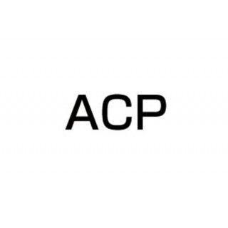 ACP GSX250E マフラー本体 ゴキ エルサウンド ショート管（ブラック