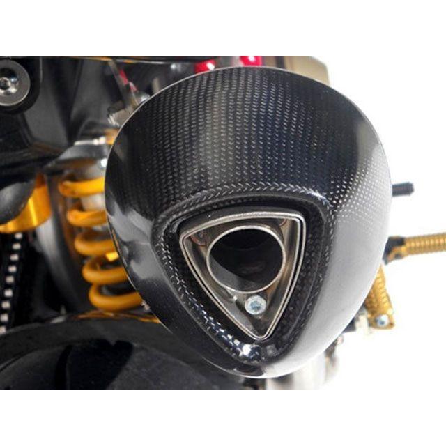 Rivalley（リバレイ） ZARD HYPERMOTARD 796/1100/1100 マフラー本体 2