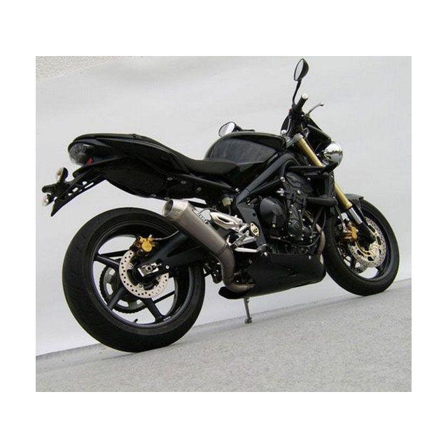 Rivalley（リバレイ） ZARD STREET TRIPLE 675 マフラー本体 3＞1