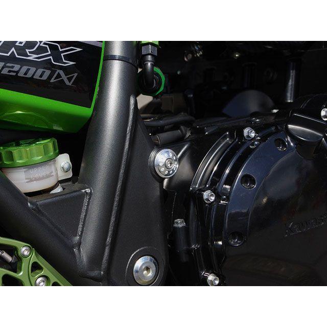 PMC ZRX1200DAEG ドレスアップ・カバー フレームプラグ（ブラック 