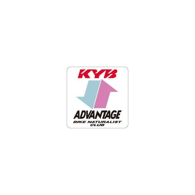 ADVANTAGE（アドバンテージ） ステッカー アドバンテージKYB（Rサス用） : パークアップバイクYahoo!店 - 通販 ...