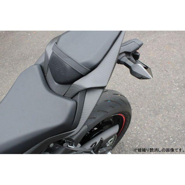 SPEEDRA ZX-6R カウル・エアロ テールサイドカバー 左右セット ドライ