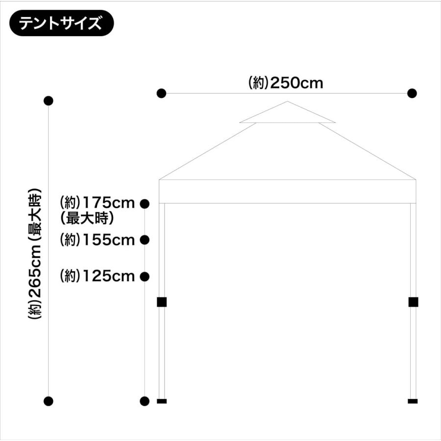 Field to Summit ワンタッチツインテント250 FTST250 ツインルーフ