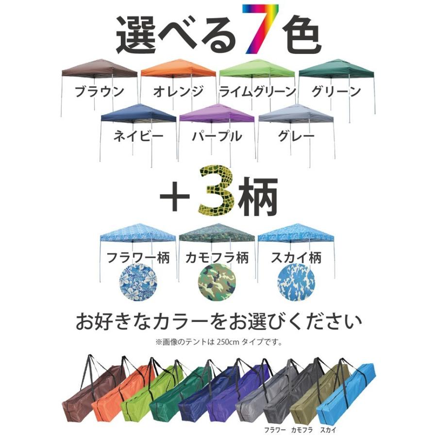 Field to Summit タープテントST250 シルバーコーティング 風抜け