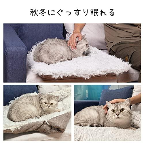 キャットハウス クッション 多頭用 ペット用ソファー 2階 猫ベッド ボックスハウ｜sta-works｜06