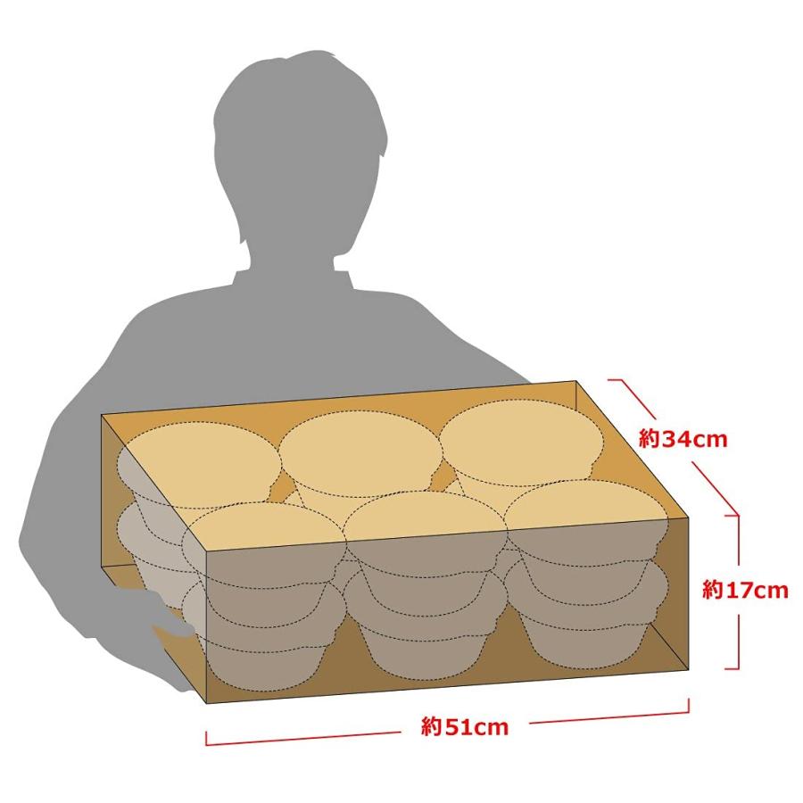 日清食品 どん兵衛 特盛きつねうどん [西] 130g×12個｜sta-works｜06