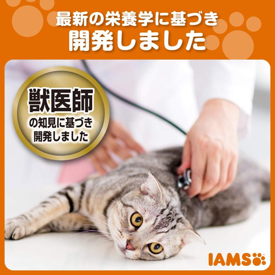 アイムス (IAMS) キャットフード 成猫用 インドアキャット チキン 5kg×2 (ケー｜sta-works｜03