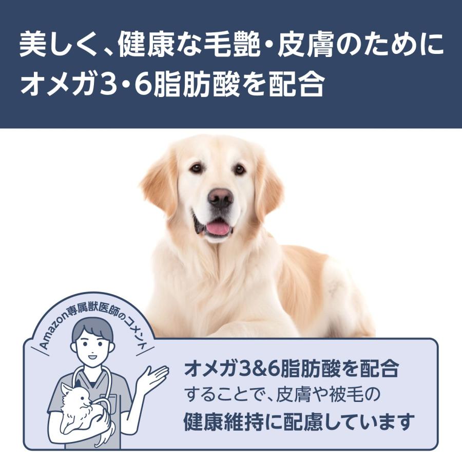 by Amazon グレインフリー ドライ ドッグフード チキン味 成犬用 4.4kg (400g×1｜sta-works｜04