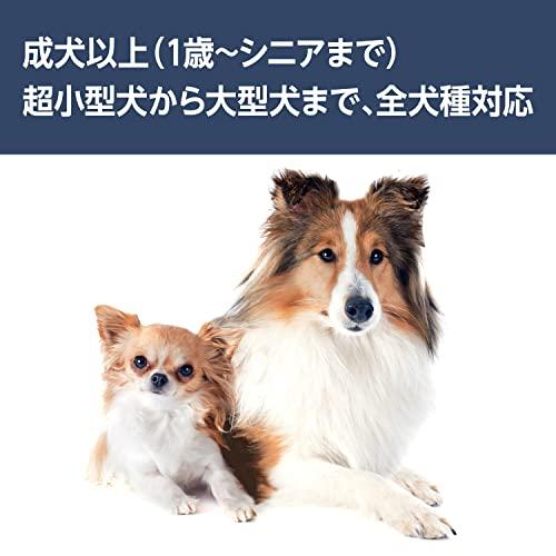 by Amazon グレインフリー ドライ ドッグフード フィッシュ味 成犬用 食物アレル｜sta-works｜07