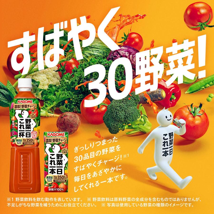 カゴメ 野菜一日これ一杯 スマートPET 720ml×15本｜sta-works｜02