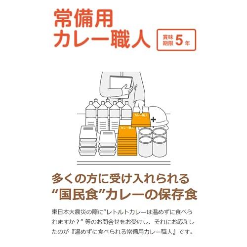 【常備用】温めずに食べられるカレー職人 3食パック 2種5個セット(甘口3食×2個/｜sta-works｜05