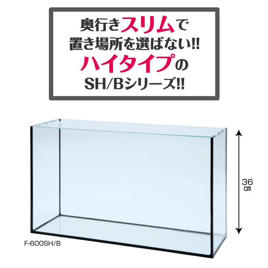 寿工芸 コトブキ レグラスフラット F-600SH/Bの画像