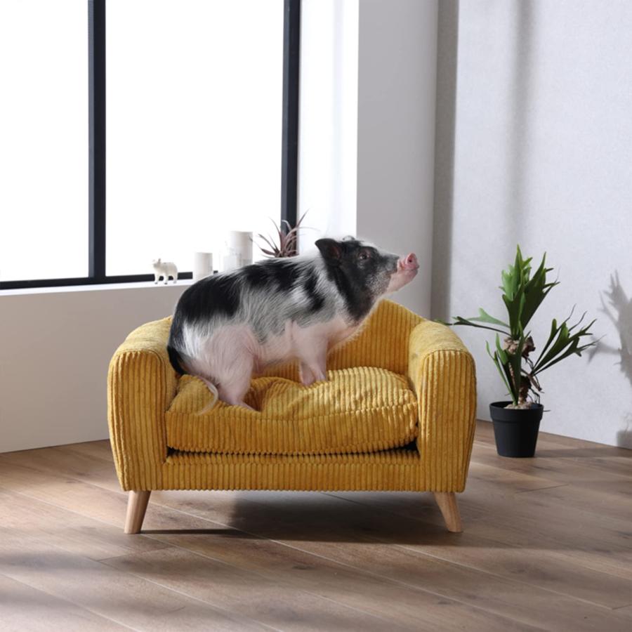 PETTO(ペットと) ペット用 ソファ 犬用 猫用 木製 頑丈 コーデュロイ カバーリンの画像