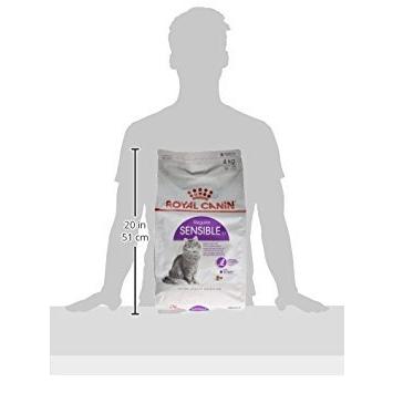 ロイヤルカナン FHN センシブル 猫用 4kgの画像