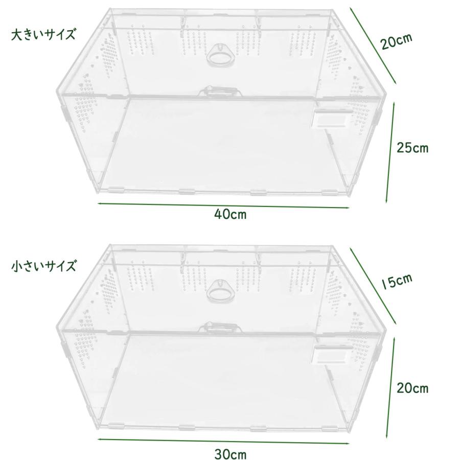 Niesporek 爬虫類 トカゲ ケージ カナヘビ飼育ケース レプタイル