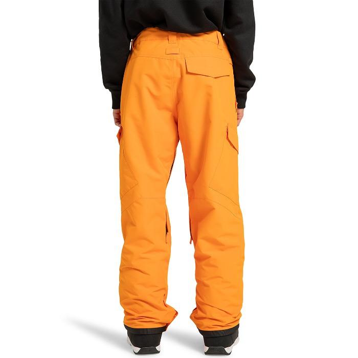 DC ディーシー DPT253902 BANSHEE PANT NLS0 スノーボードウェア DC ディーシー DPT253902 BANSHEE PANT NLS0 スノーボードウェア
