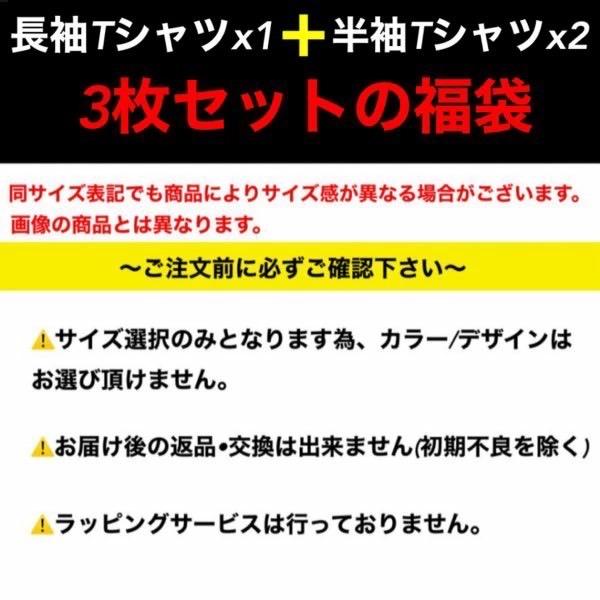 THE NORTH FACE ザ ノースフェイス The North Face 福袋 長袖T