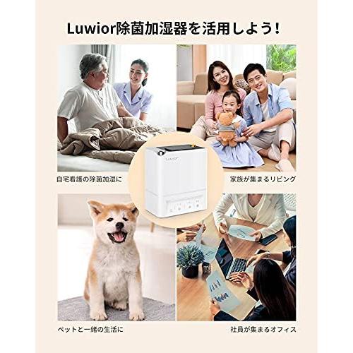 加湿器 卓上 除菌加湿 第二代 Luwior 電解水除菌 超音波加湿器 大容量