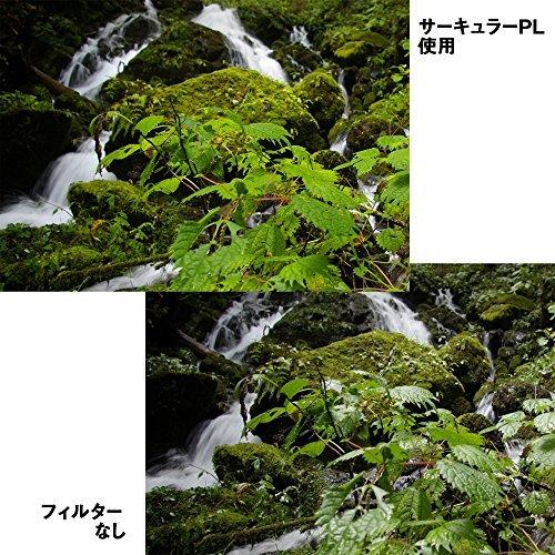 HAKUBA PLフィルター 49mm サーキュラーPL 反射率 0.6% 色ムラなし