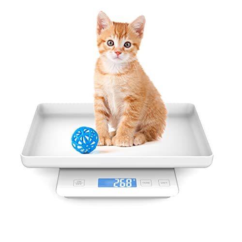 子猫の体重計, キッチンスケール, デジタルペット体重計モニターペットの体重（グラム）| 15Kg容量 | 1g の 精度 | 小動物やペットのための