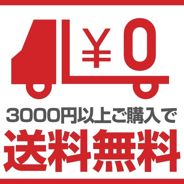 電波遮断 スマートキーケース リレーアタック 対策 盗難防止 ケース カーボン柄 ポーチ 防犯対策 スキミング防止 カーセキュリティ 車 おしゃれ｜stakeholder｜11